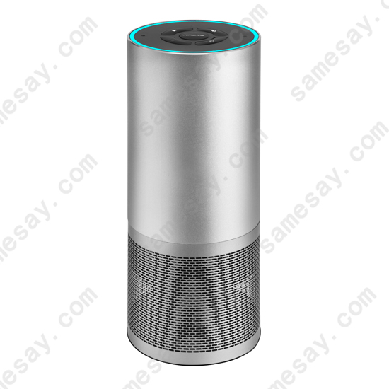 Alexa Speaker - CK315