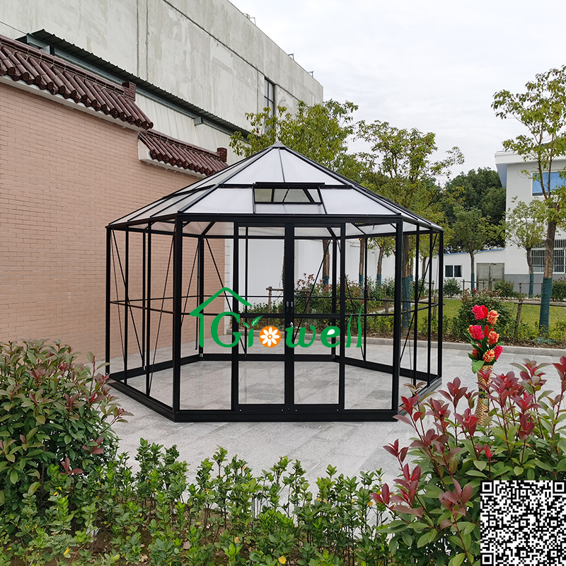Hexagonal Greenhouse in Black