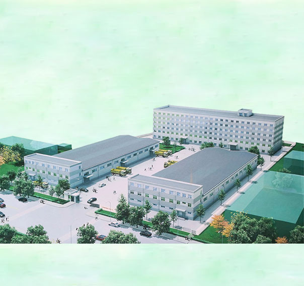 Tianjin Bailisoong Import and Export Co., Ltd. – Pumpkin seeds 1