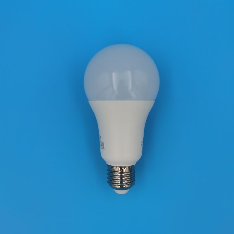 A70 Led Globe Bulb