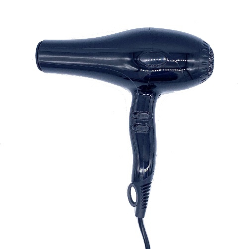 Hair Dryer AC Motor