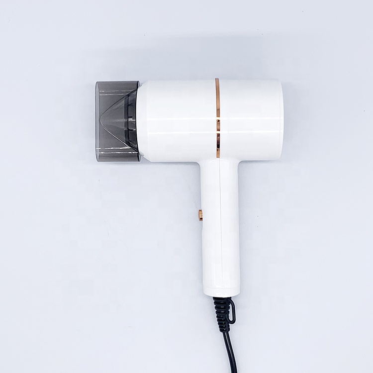 Hair Dryer AC Motor