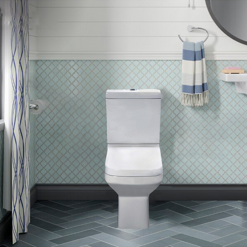 Sanitary ware toilet