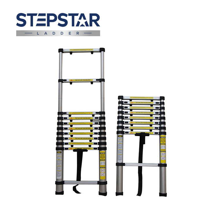 Telescopic Ladder