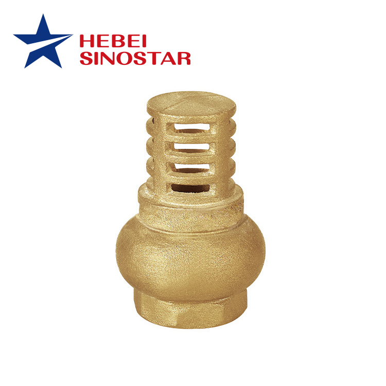 Brass Foot Valve
