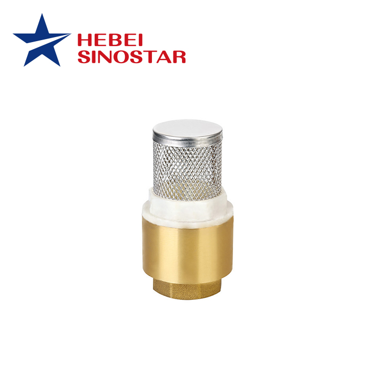 Brass Spring Check Valve(Válvula De Retención Vertical Horizontal )