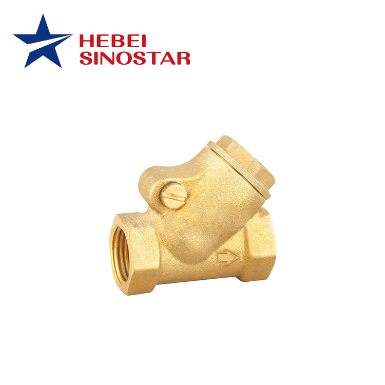 Check Valve