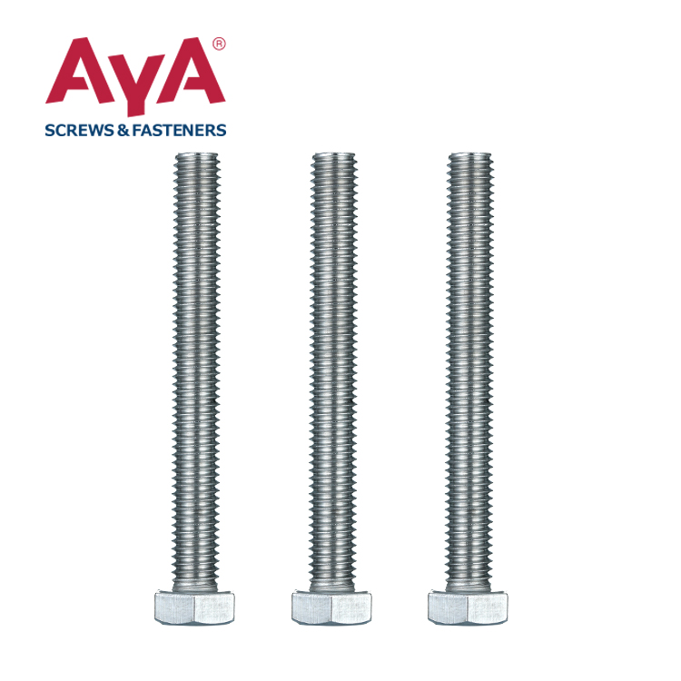 Stainless Hexagonal Bolt