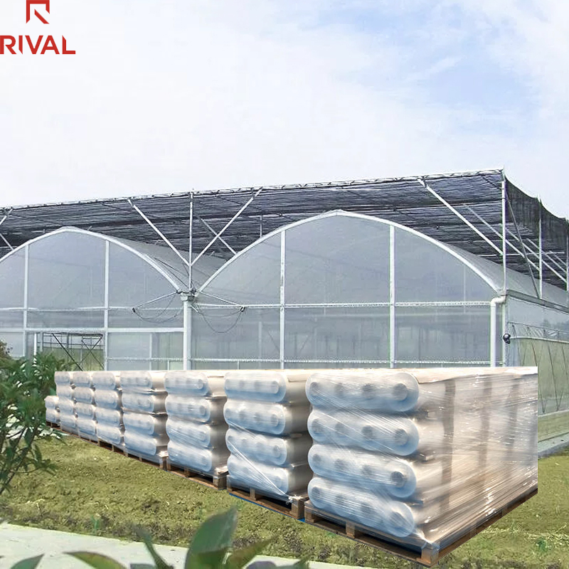 High Quality Commercial Agriculture 20x100m Polythene Greenhouse UV Plastic Film
