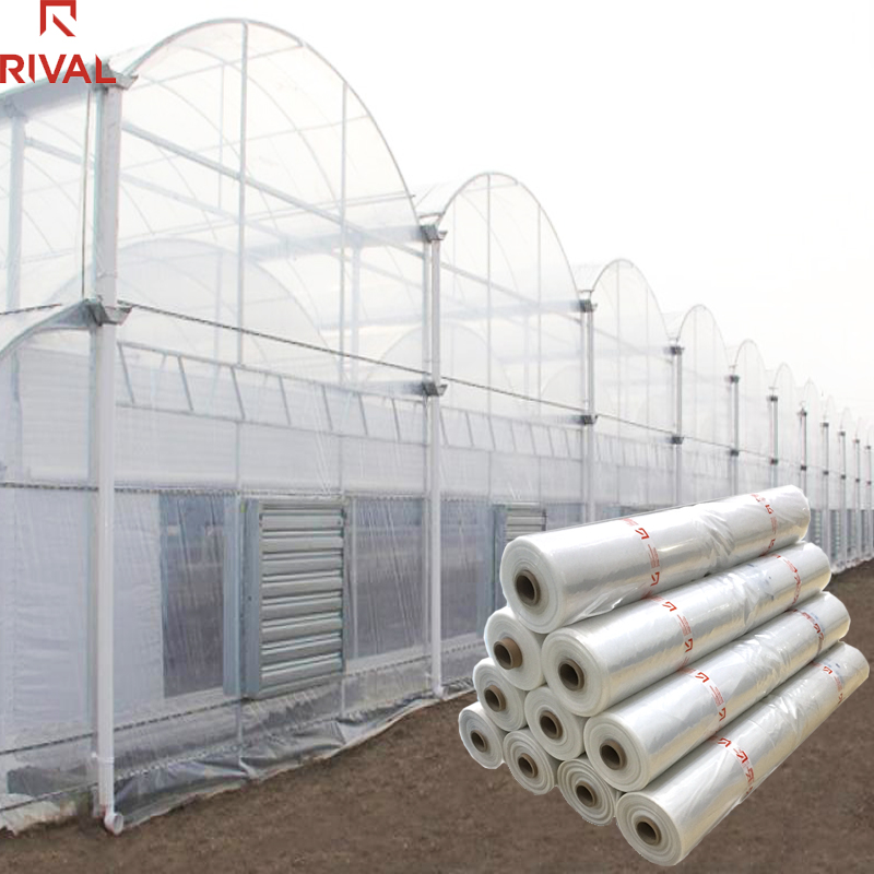 Agriculture Greenhouse Film 150 Microns / 200microns Ldpe Film For Greenhouse