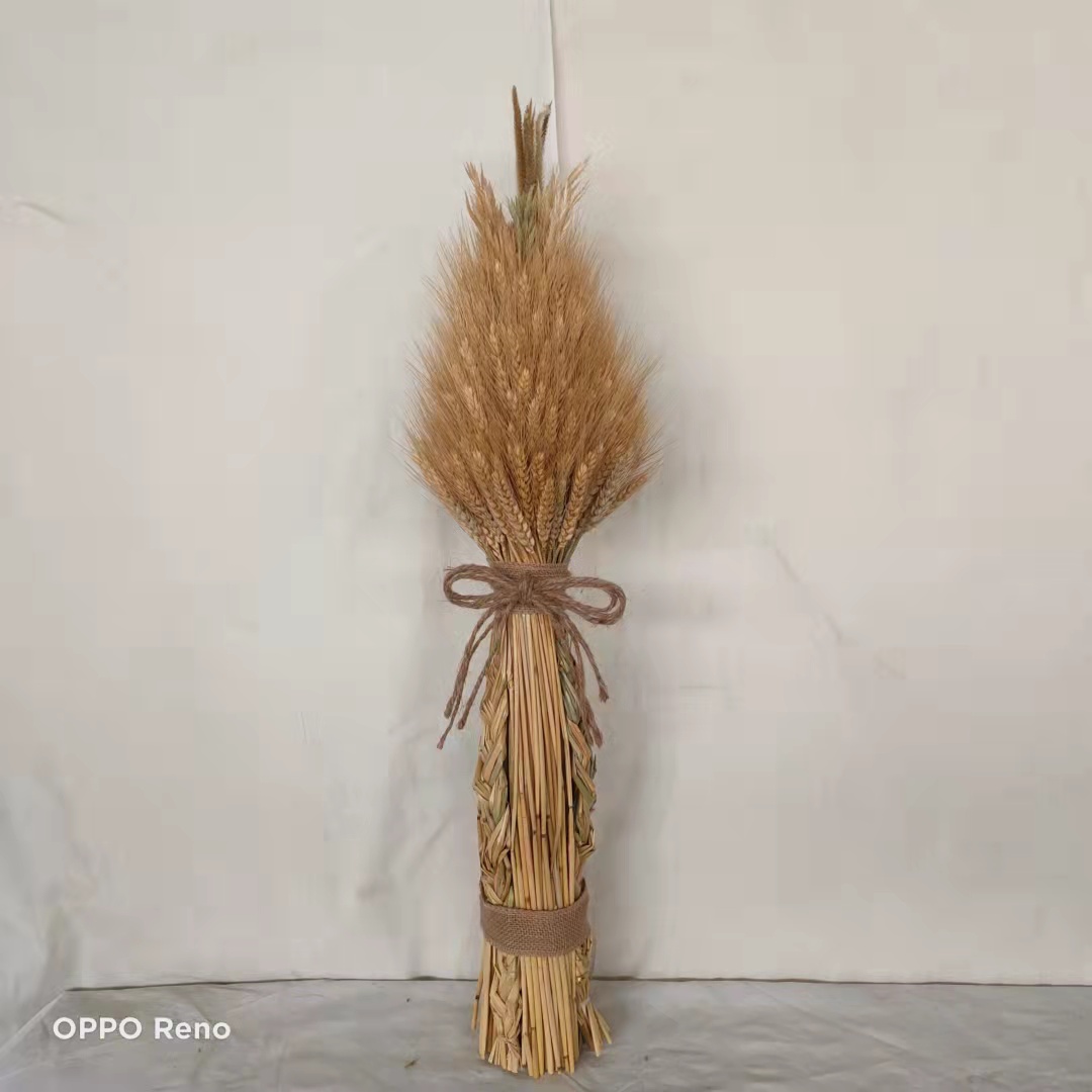 Dried wheat bouquet /wheat stems