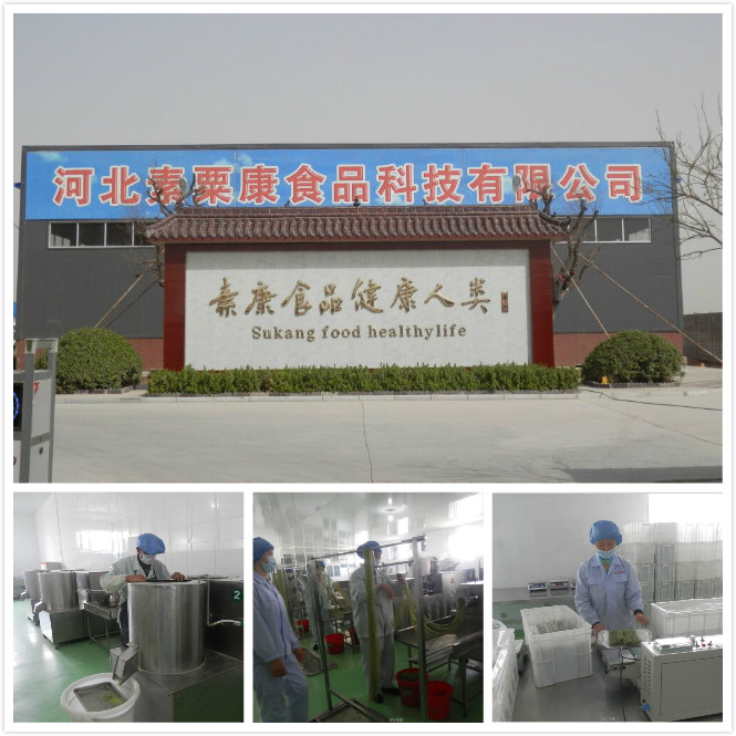 Hebei Susu Kang Food Technology Co., Ltd. – Product photos 2