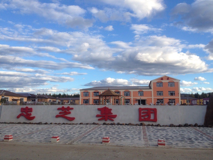 Yichun Zhongzhi Dashanwang Liquor Co., Ltd. – Fruit wine 1