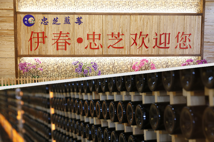 Yichun Zhongzhi Dashanwang Liquor Co., Ltd. – fruit and vegetable juice 2