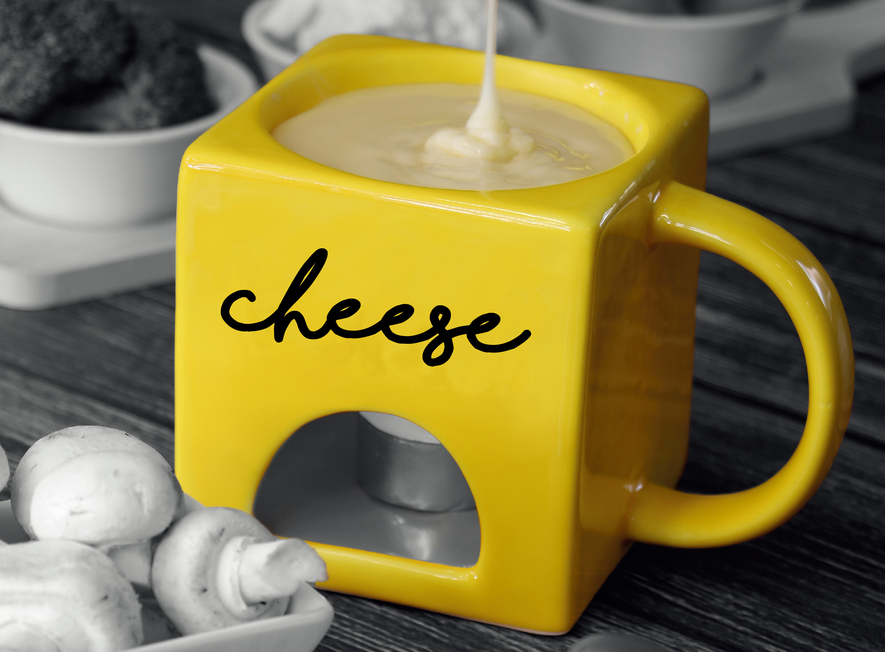 cheese fondue set