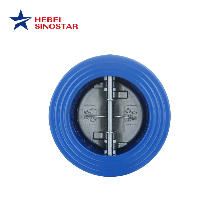 Check Valves