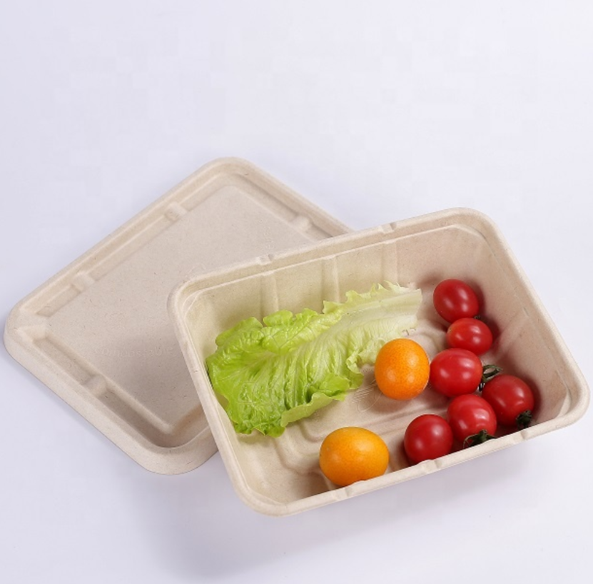 1500ml Sugarcane Bagasse Deep Food Tray