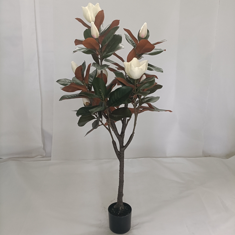 Flower tree,Magnolia tree