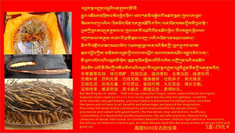 The Dhanei smell of incense Dengqen County Limited Liability – raqueta de tenis 2