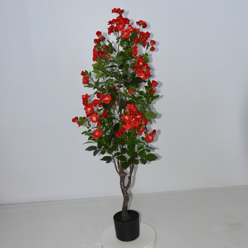 Flower tree,Baby rose tree