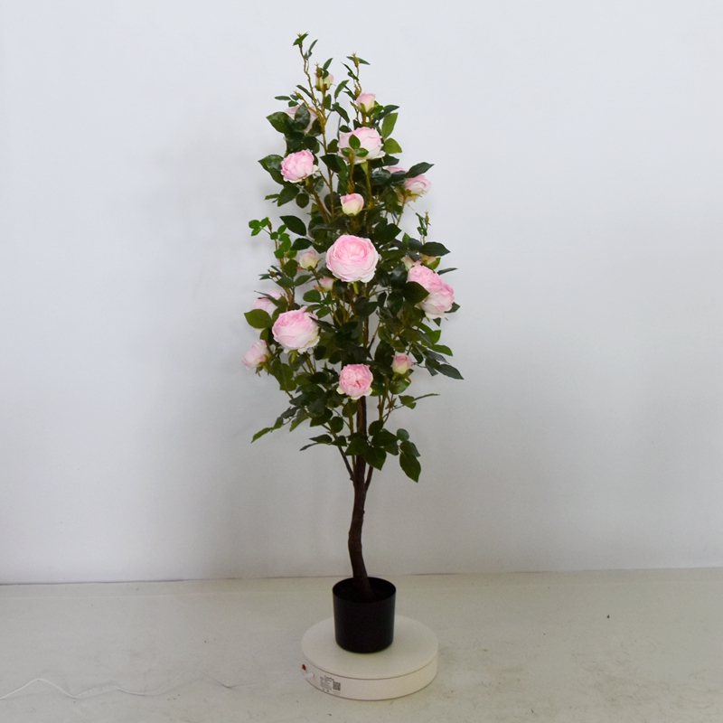 Flower tree ,Rose tree