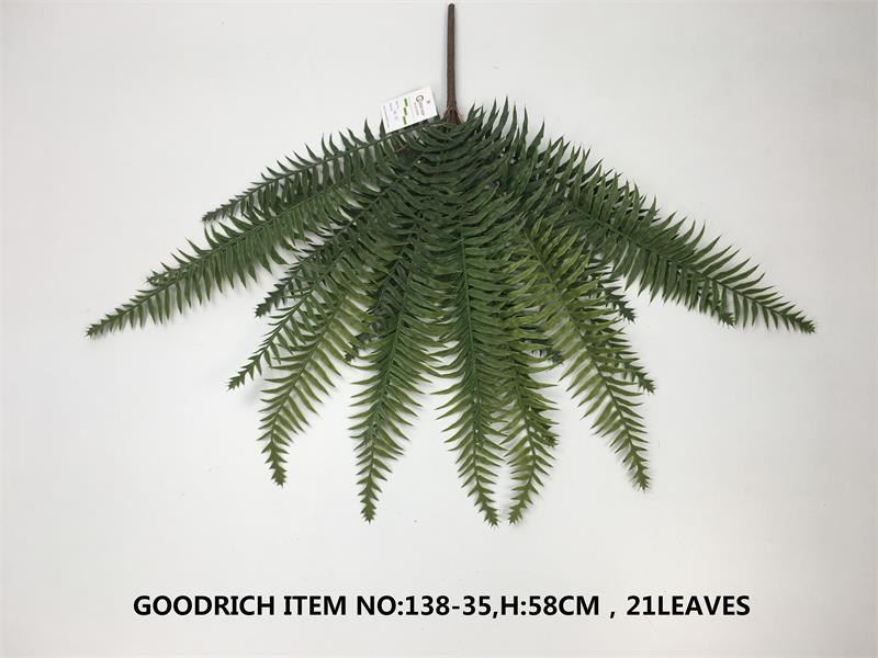 Single plants single leaves