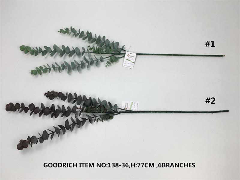 Single plants single leaves