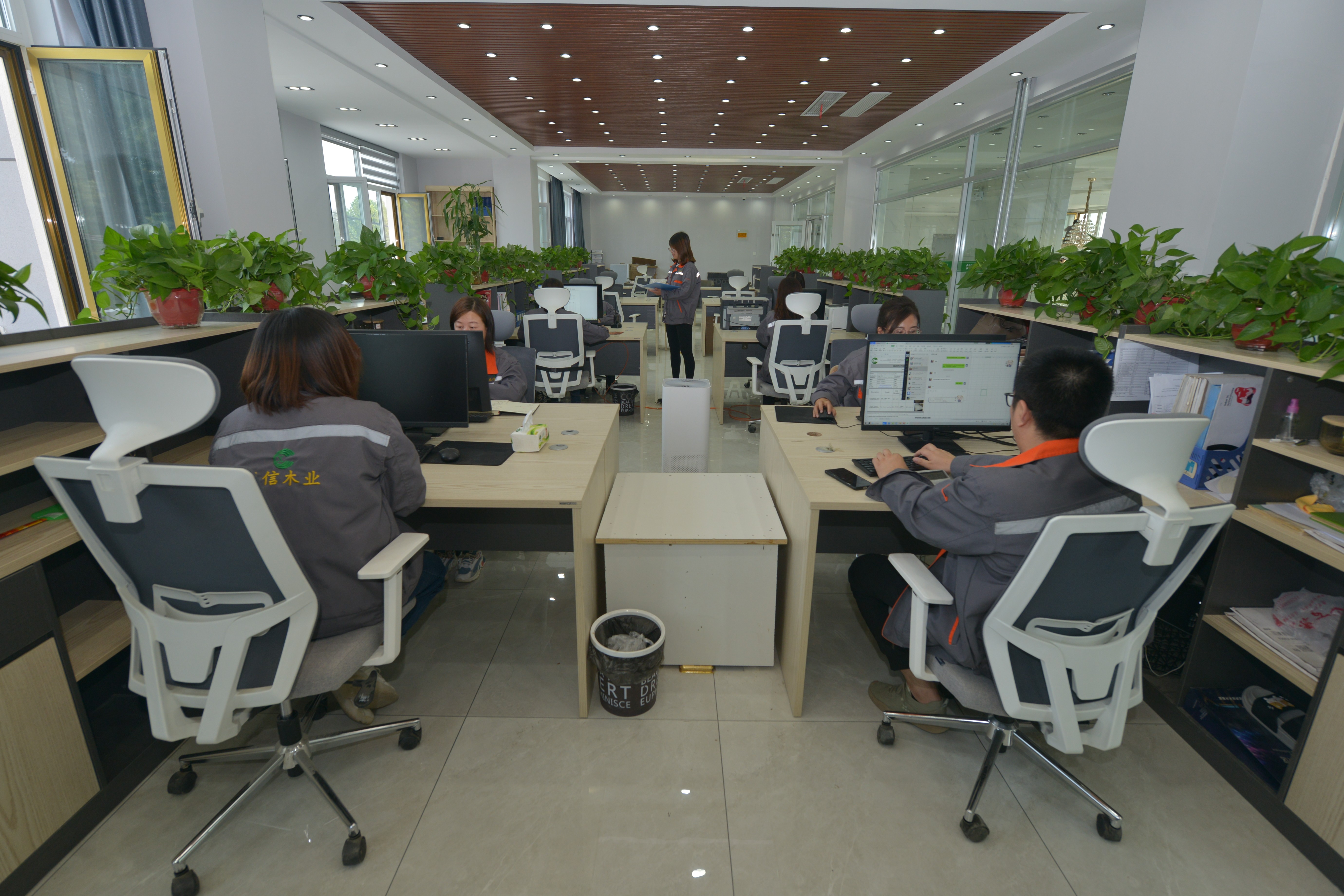 Linqing Chengxin Trading Co., Ltd. – plywood 2