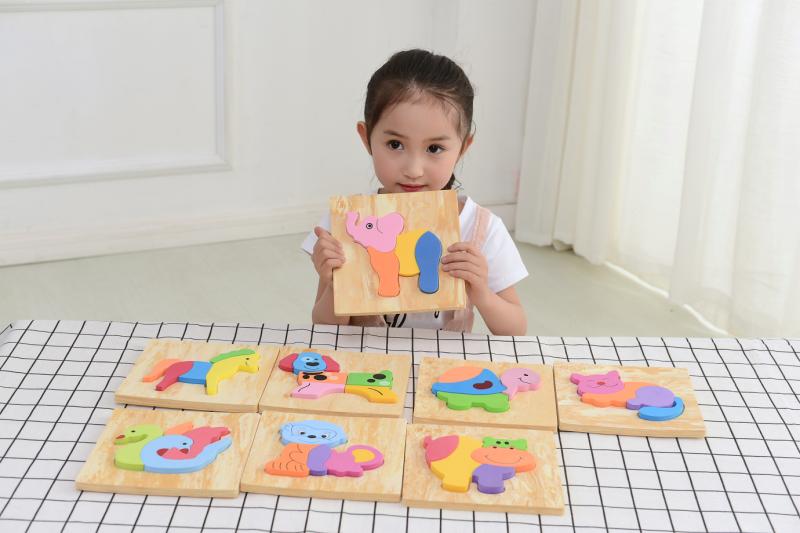 Surf Eva Puzzle