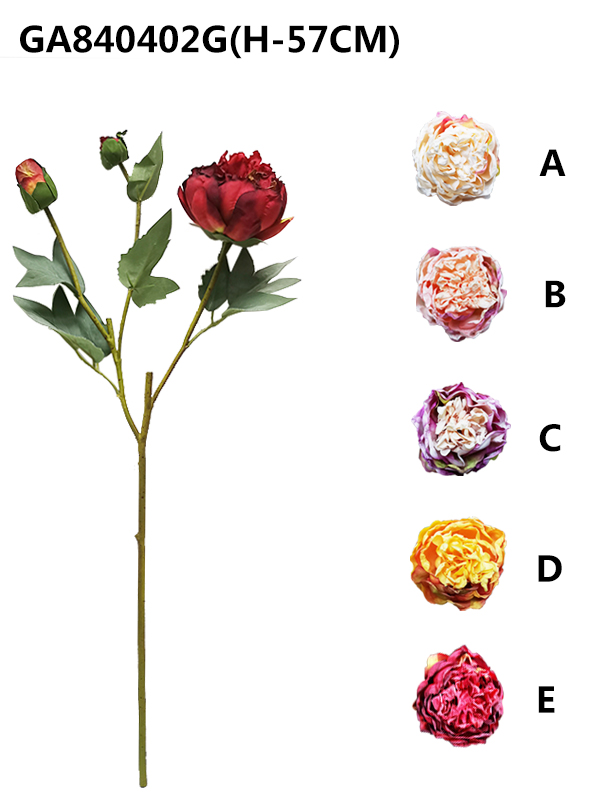 Single dried flower peony *3(H-57CM)