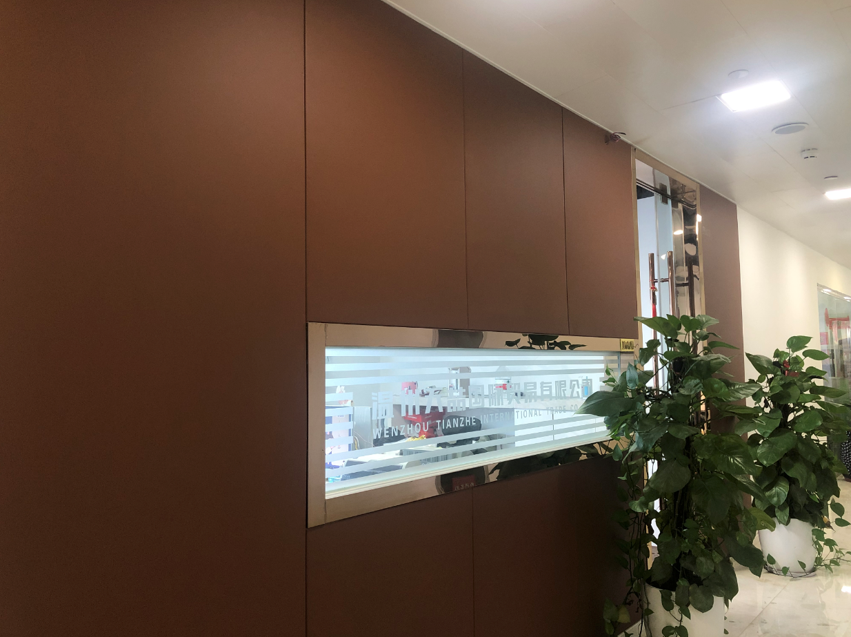 Wenzhou Tianzhe International Trading Co., Ltd. – Shower head 1