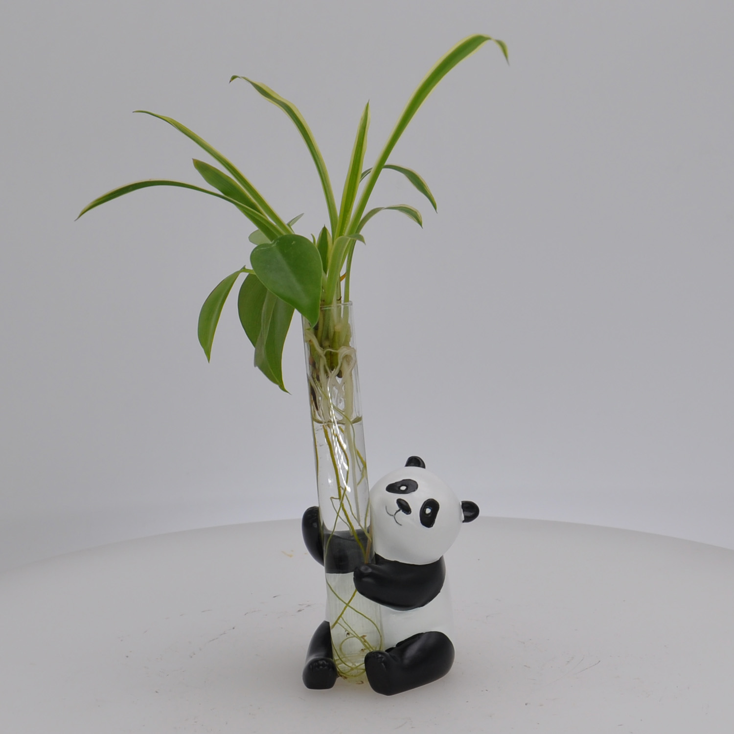 Wholesale Polyresin cartoon panda sculpture water plant stand statue coin box custome for home decoration