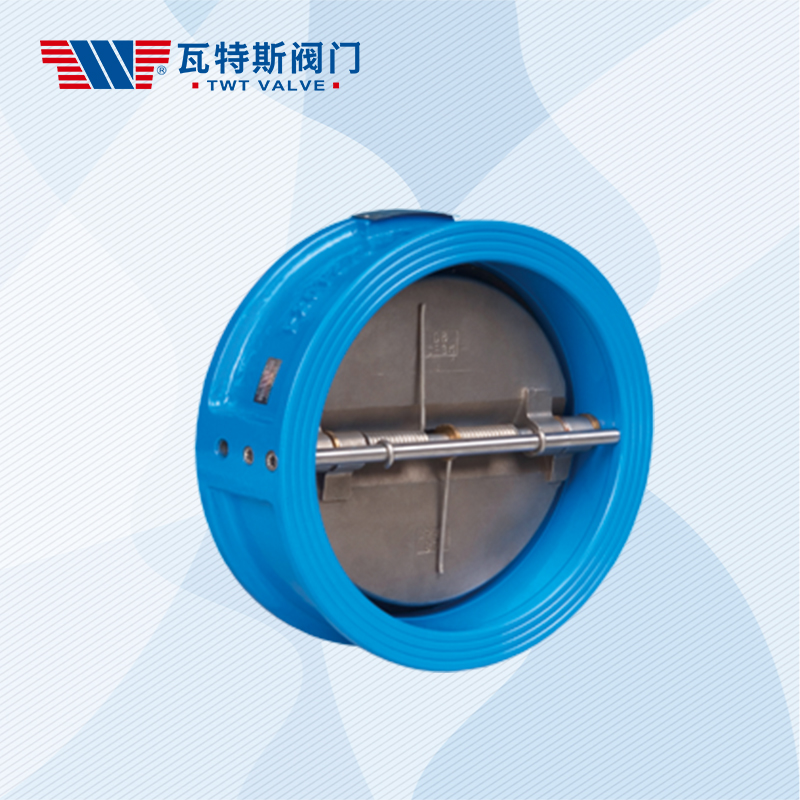 Tianjin Tanggu TWT Valve Co., Ltd – Check valve 2