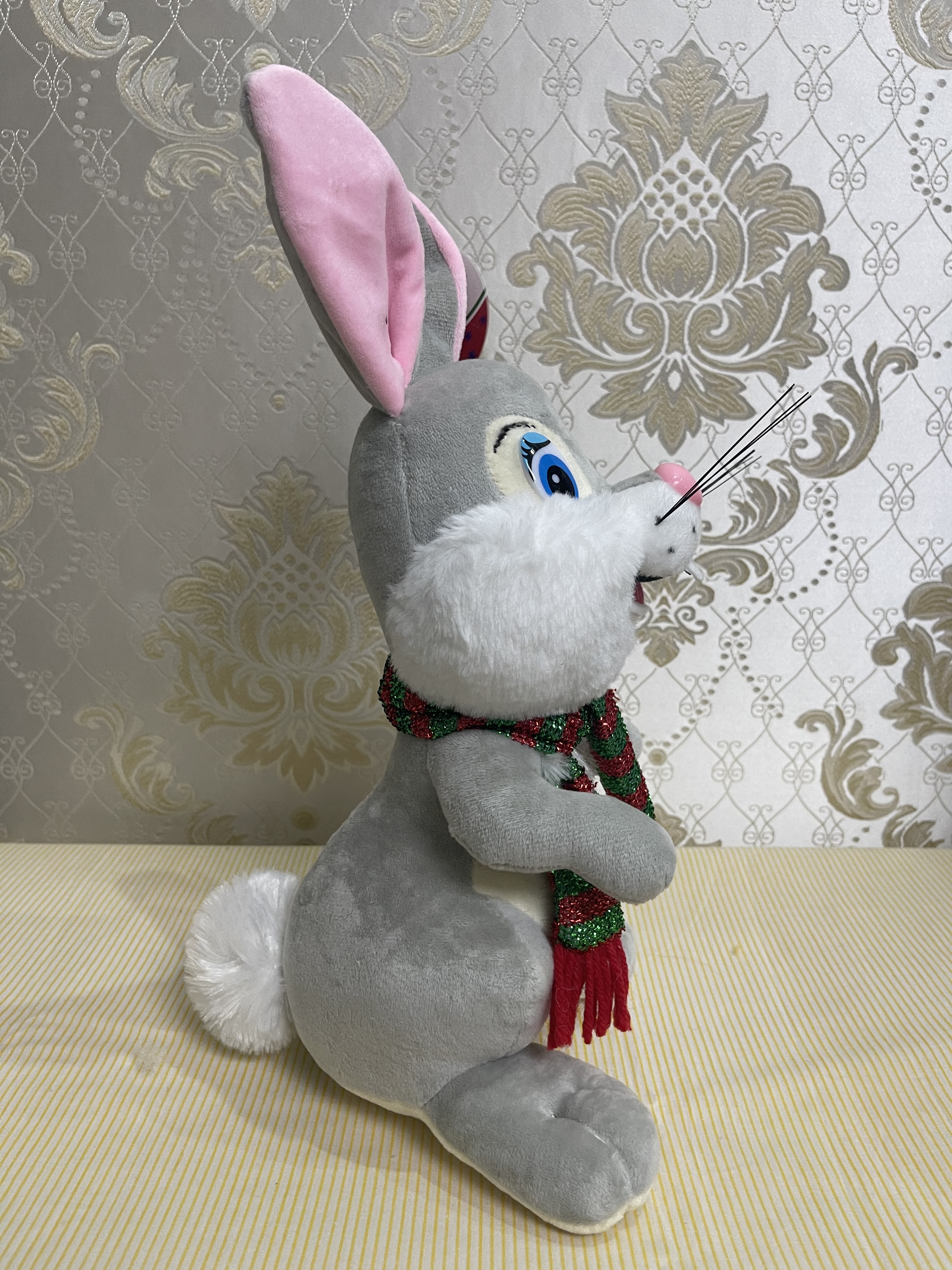 Grey rabbits wear scarves