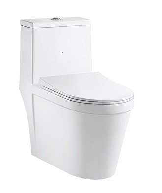 One-Piece Toilet