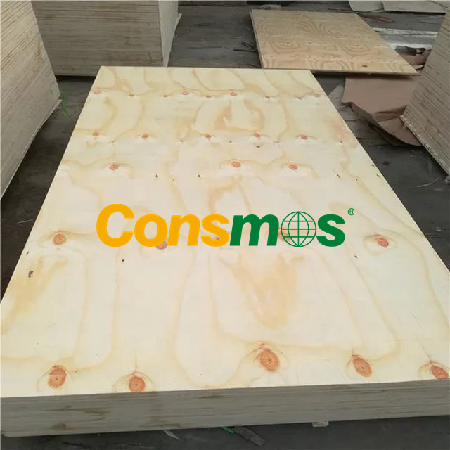 CDX Pine Structural Plywood