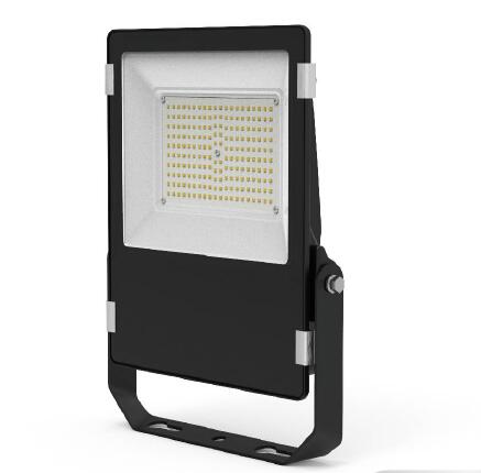 LED Flood Light