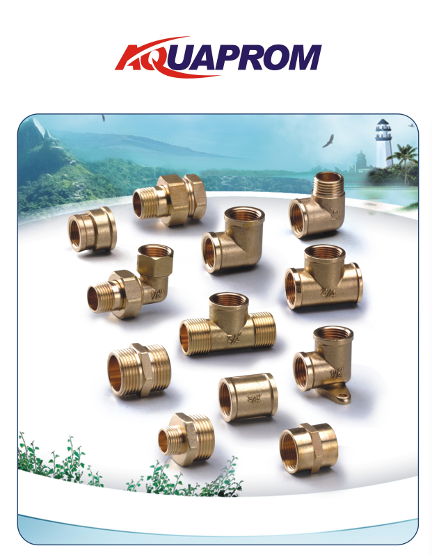 Brass Fitting