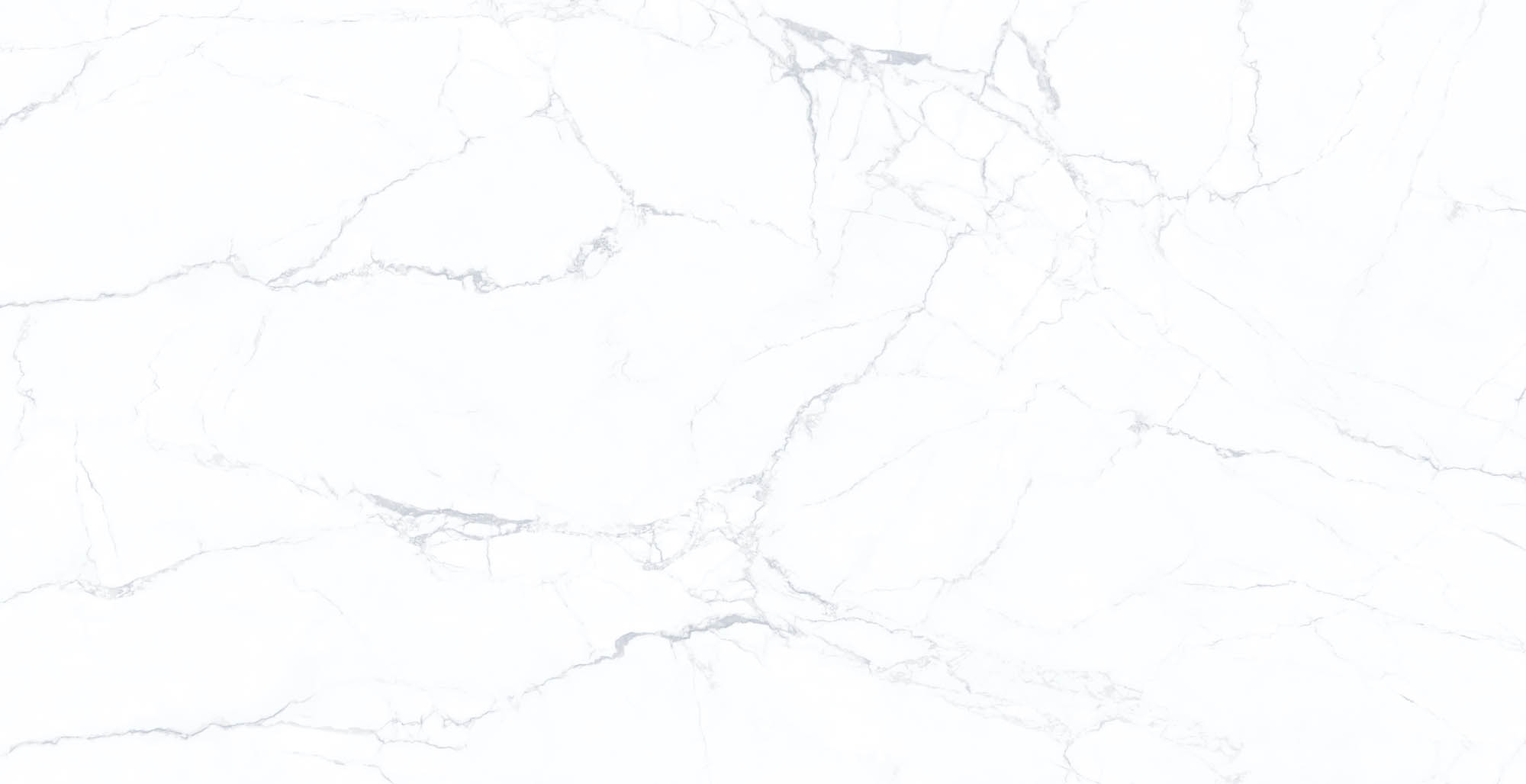 # Porcelain Slab/Porcelain Tile/Floor Tile/Wall Tile/Marble Tile/Glazed Tile 160-320DBL12212M