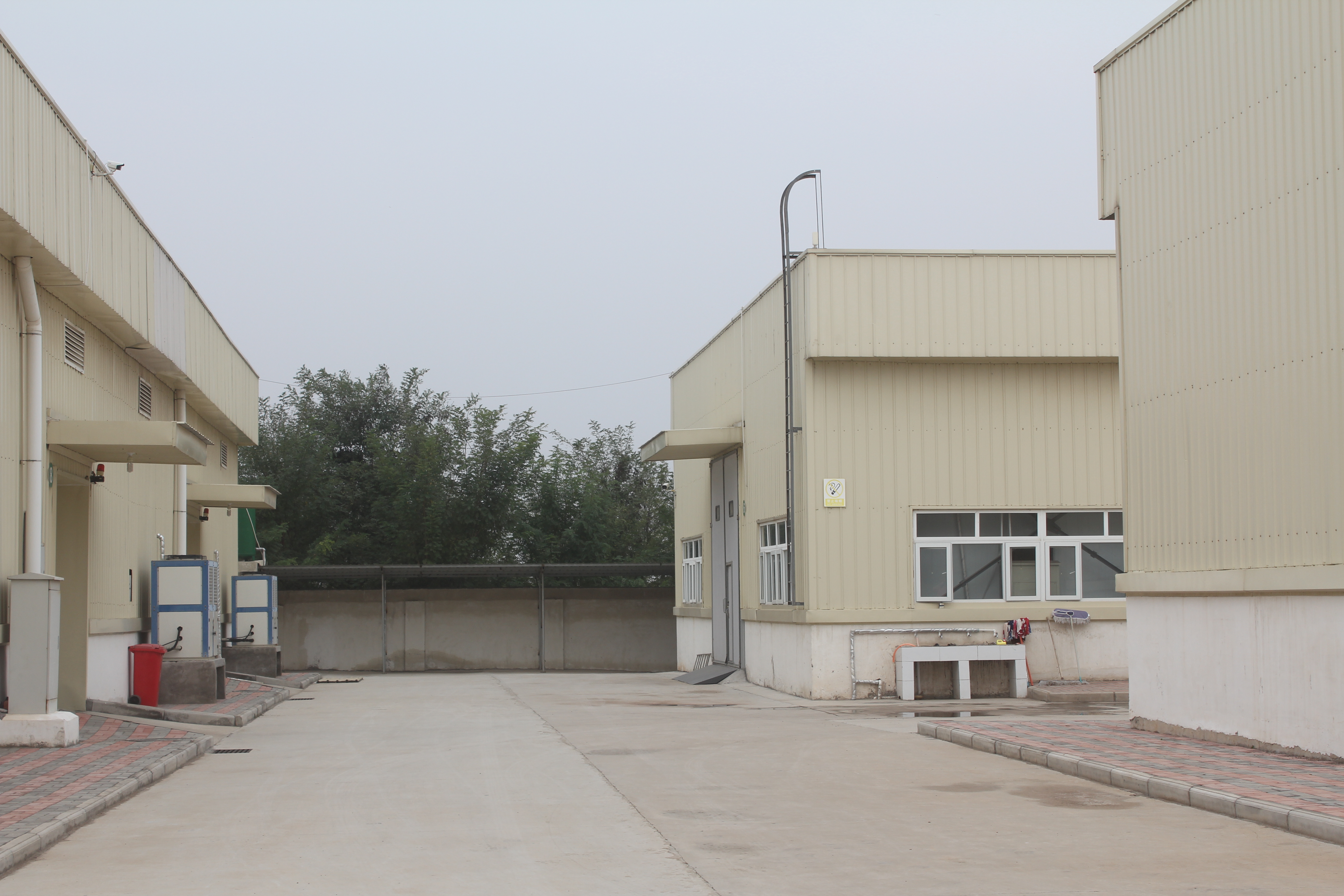 Nongzhuang (Luoyang) Modern Agricultural Industry Co., Ltd. – Product photos 3