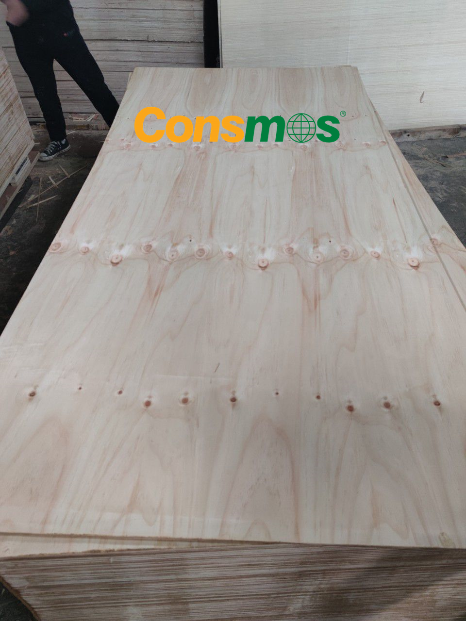 CDX pine plywood