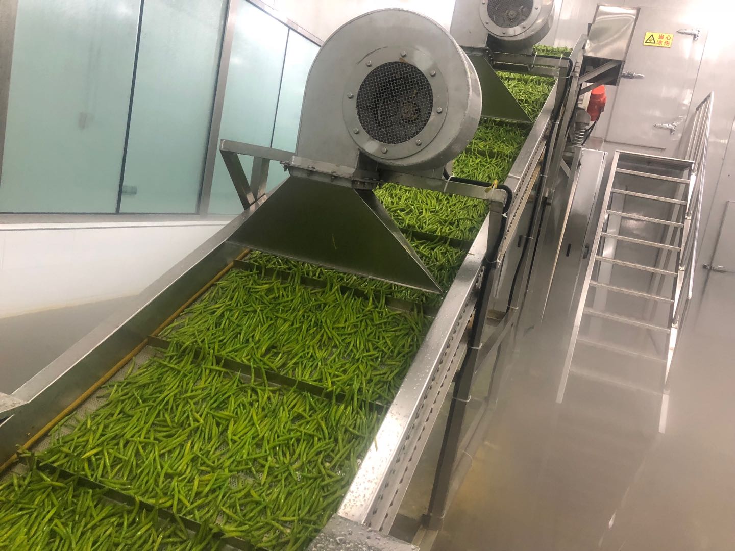 Datong Yunxuan Agricultural Development Co., Ltd. – frozen vegetables 1