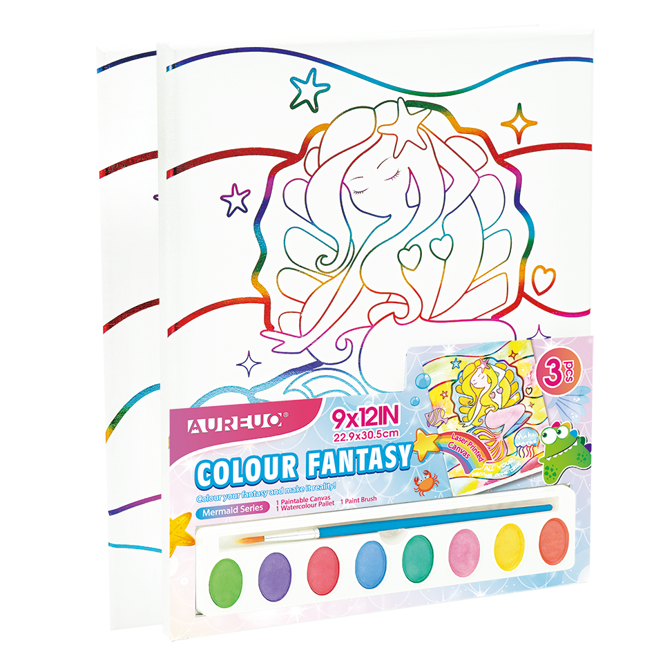 Colour Fantasy Canvas Painting Set
