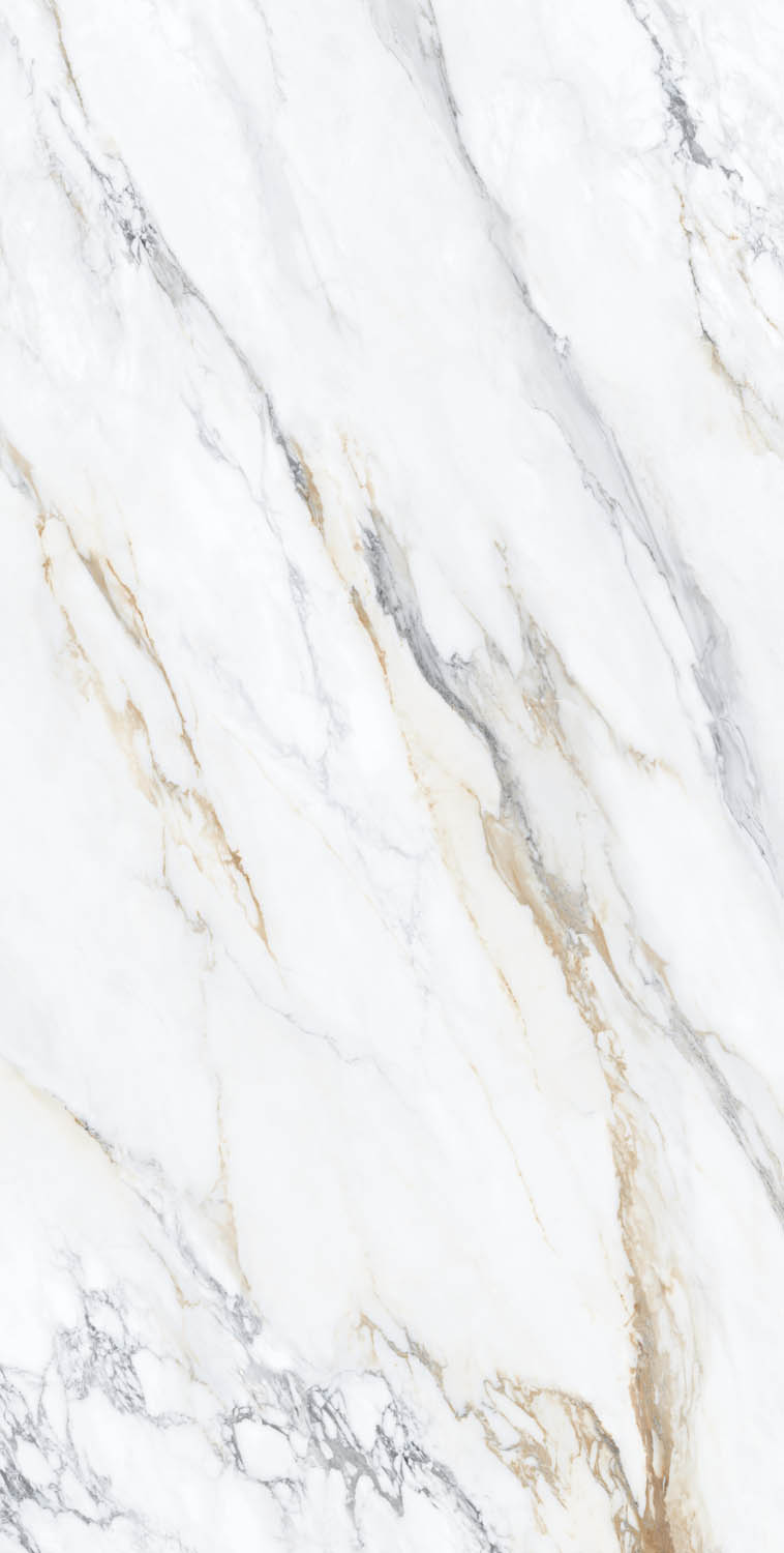 # Porcelain Slab/Porcelain Tile/Floor Tile/Wall Tile/Marble Tile/Glazed Tile 160-320DBLP12857M