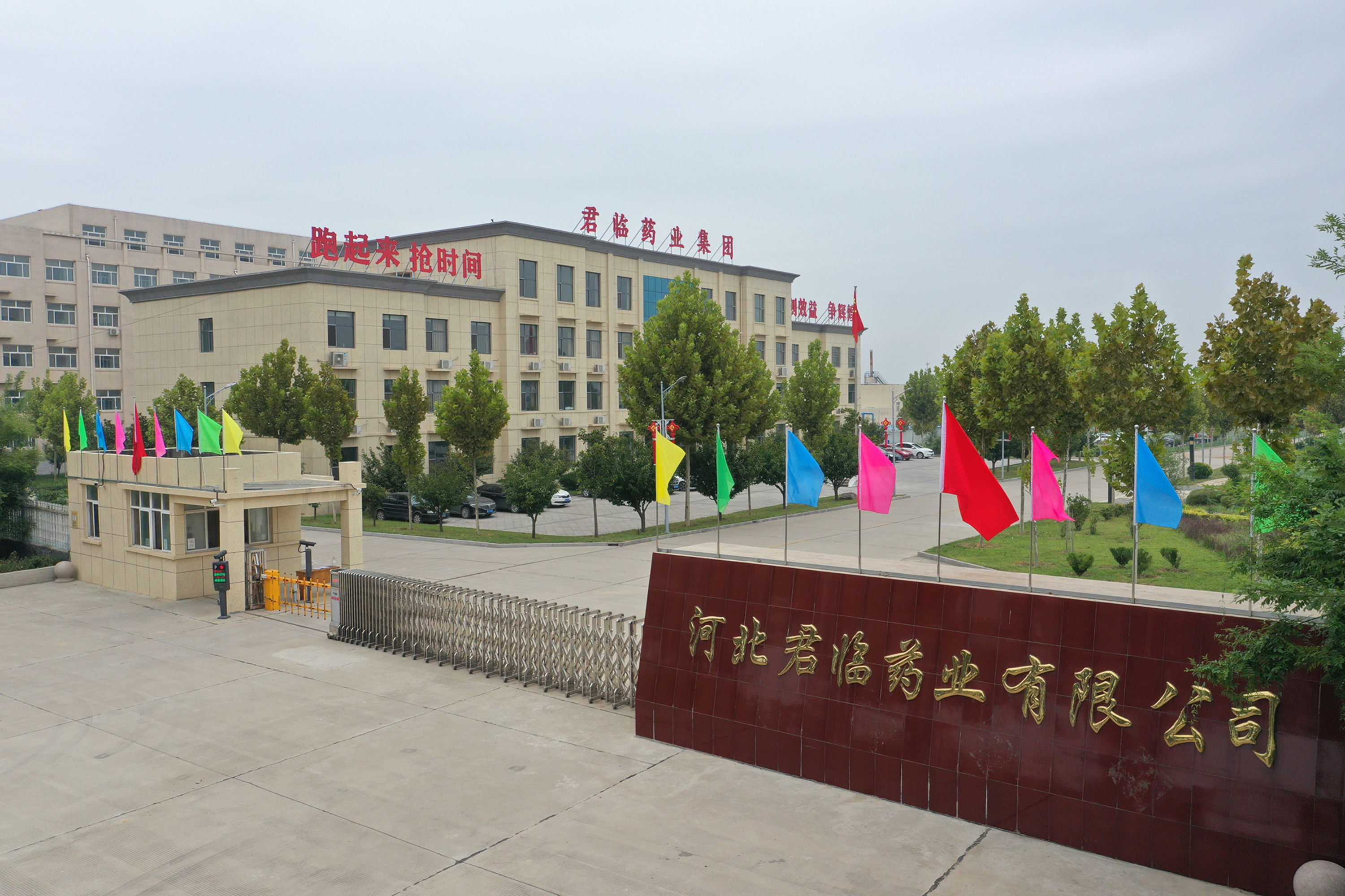 Hebei Junlin Pharmaceutical Co., Ltd. – Chinese patent medicine 1