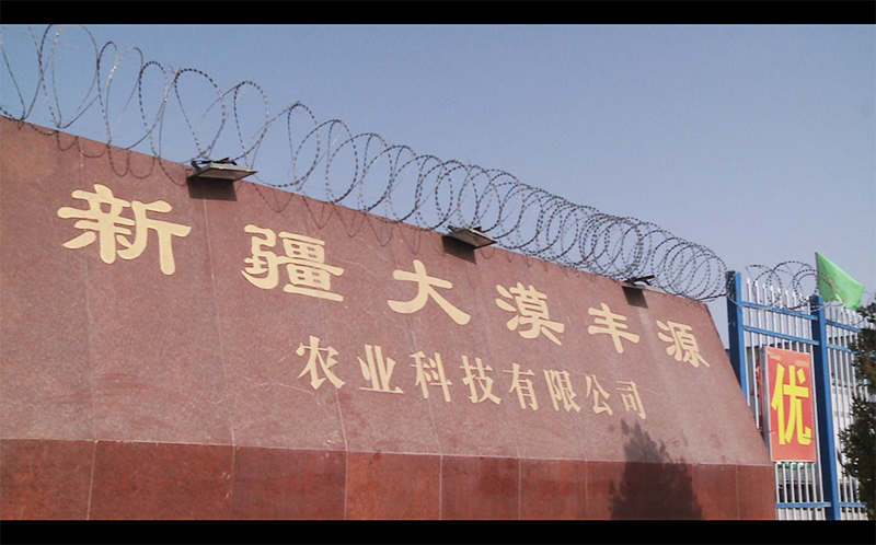 Xinjiang Damо Fengyuan Agricultural Technology Co., Ltd. – Dehydrated fruits and vegetables 1