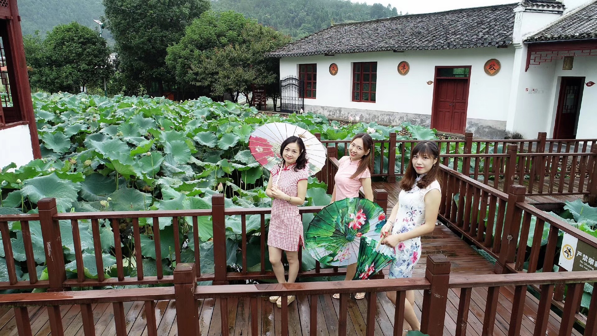 Shangyou Youjiang Green Moon Food Co., Ltd. – Photos produits 3