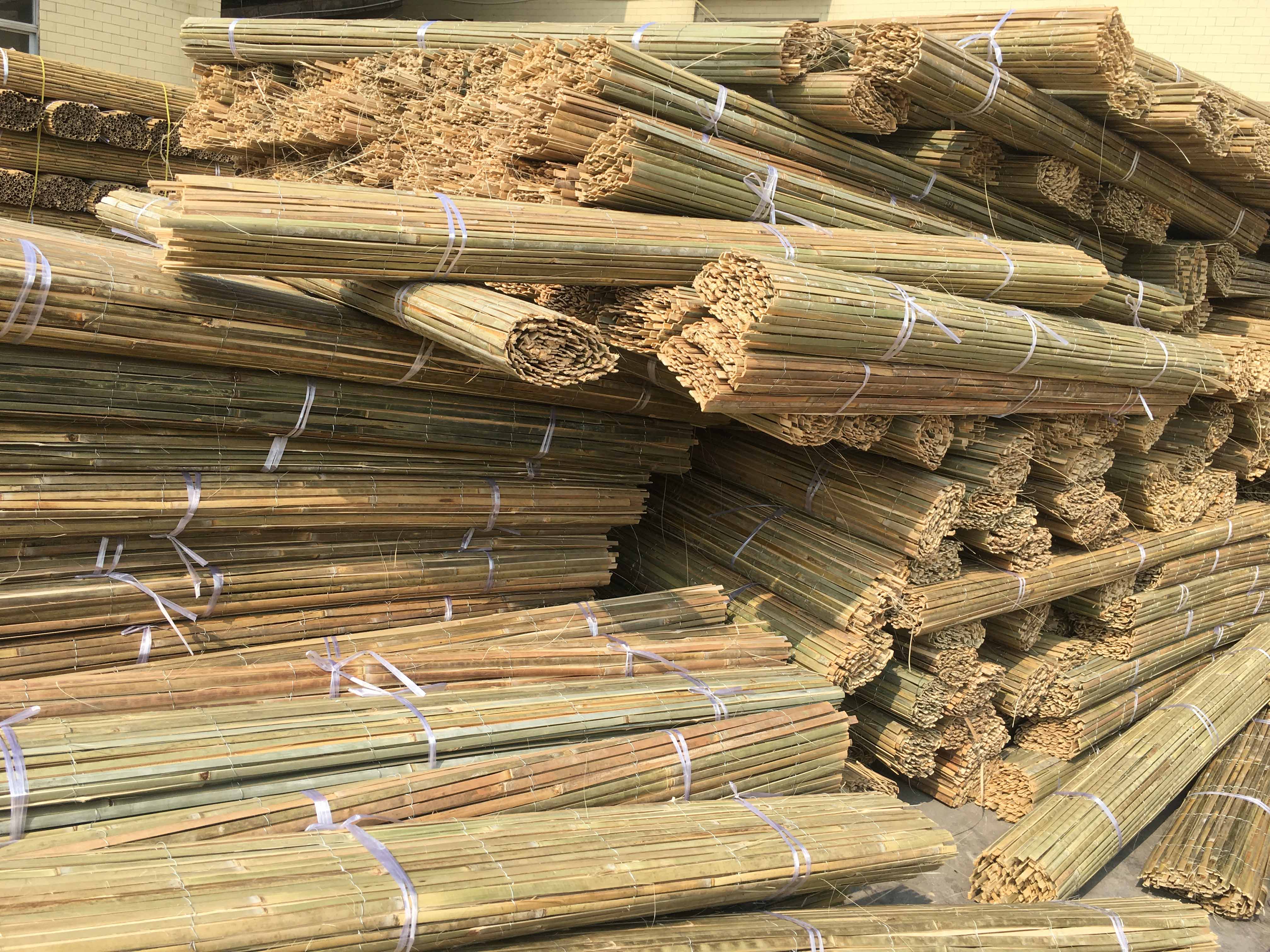 Bamboo Fence