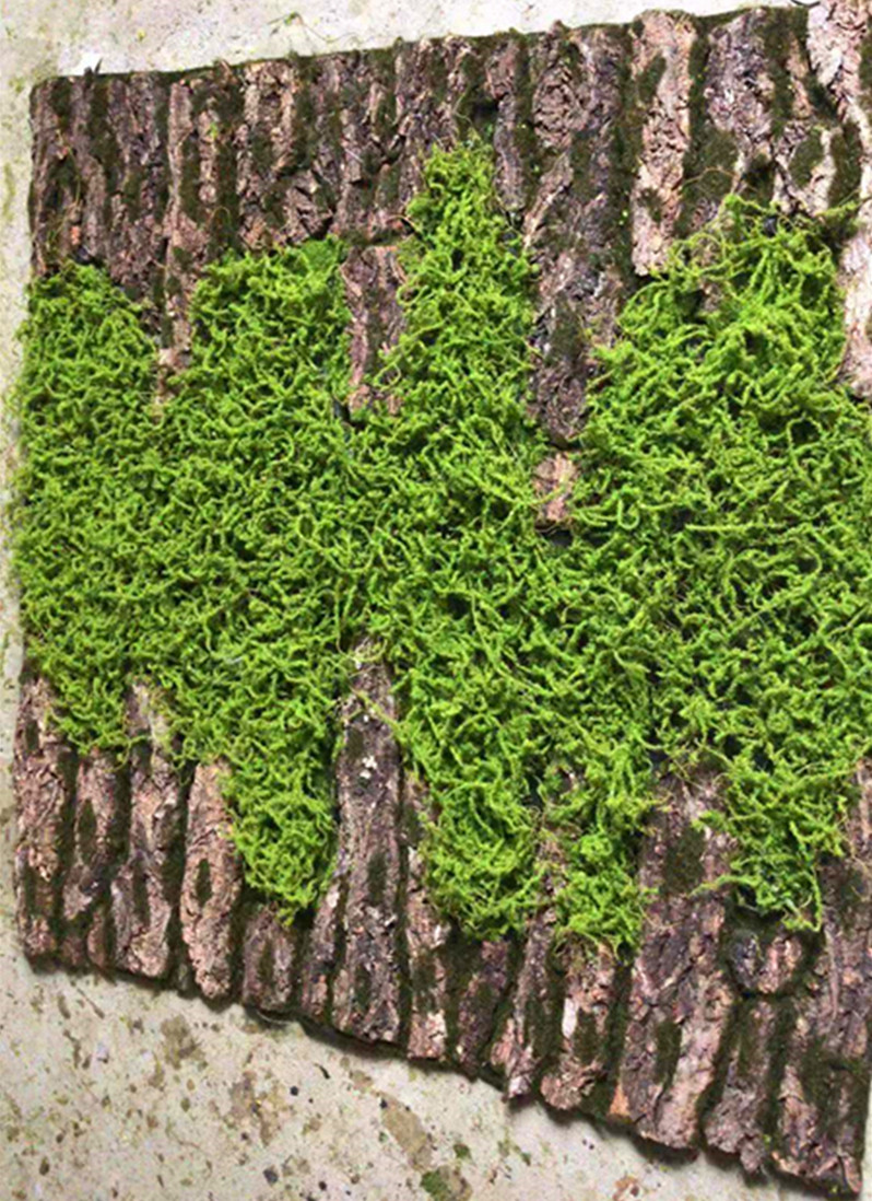 Artificial moss indoor decoration plants simulate moss 1m*1m