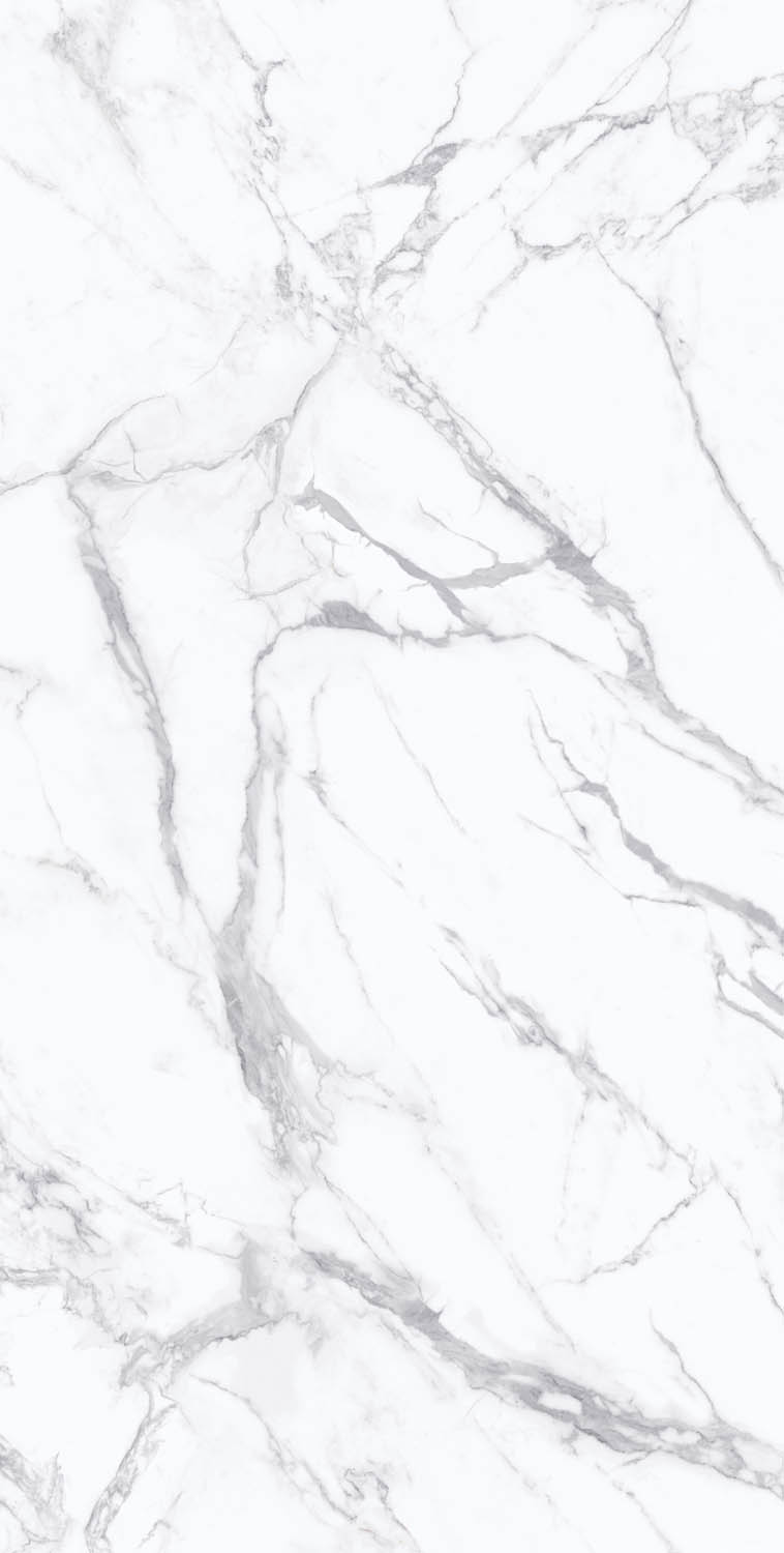 # Porcelain Slab/Porcelain Tile/Floor Tile/Wall Tile/Marble Tile/Glazed Tile 160-320DBLP12855M